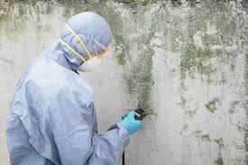 Best Airborne Mold Testing  in Somerset, WI